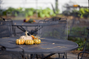 Thanksgiving Traditions - Outside - Waldorf MD - Tri County Hearth and Patio Center