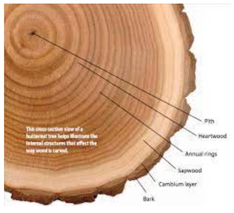 Wood Log Diagram - Tri County